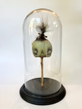 Desmond the Shrunken Head