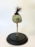 Desmond the Shrunken Head