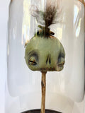 Desmond the Shrunken Head
