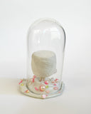 Dream Mallow under small glass dome