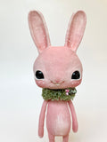 Pinky Cottontail